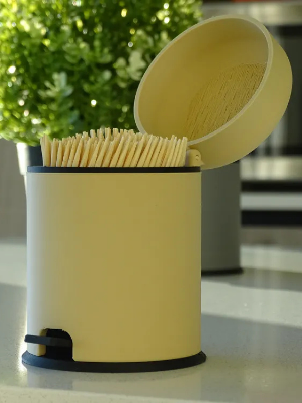 Mini Pedallı Çöp Kovası Kürdanlık